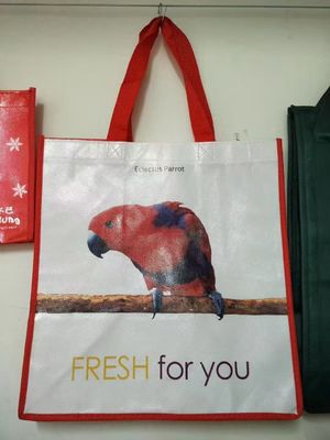 Reciclar bolsas de tejido no tejido para compras,bolsas de compras reutilizables ecológicas personalizadas,bolsas de alimentos impresas personalizadas con logotipo