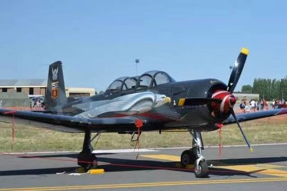Hecho en China Recreación Competitiva Avión civil CJ6 Modelo de avión privado