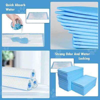 Pañales para mascotas desechables biodegradables OEM ODM para perros, hidrofílicos y ecológicos