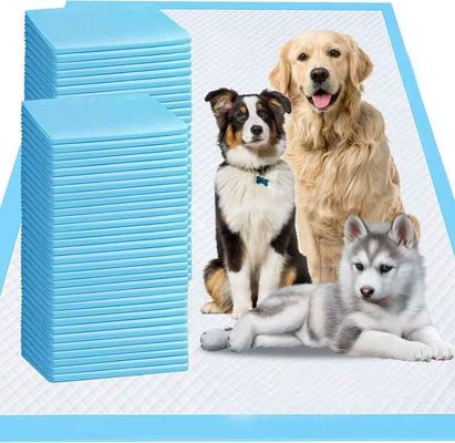 Novedad Diseño de venta caliente de alta absorción Suministro de mascotas pañales para perros pañales para mascotas almohadilla ecológica para perros