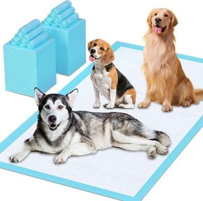 Novedad Diseño de venta caliente de alta absorción Suministro de mascotas pañales para perros pañales para mascotas almohadilla ecológica para perros